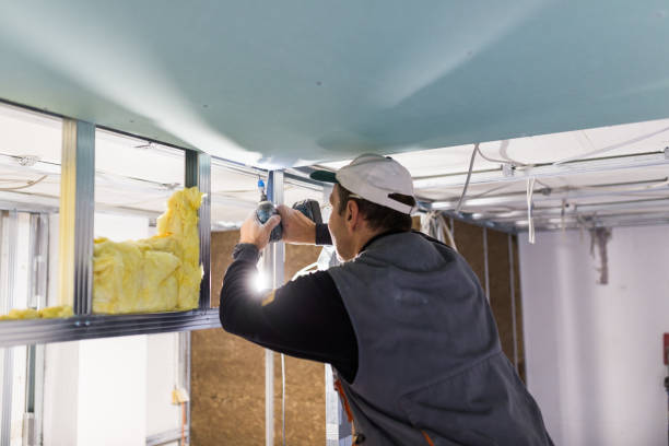 Best Types of Insulation in Bardmoor, FL
