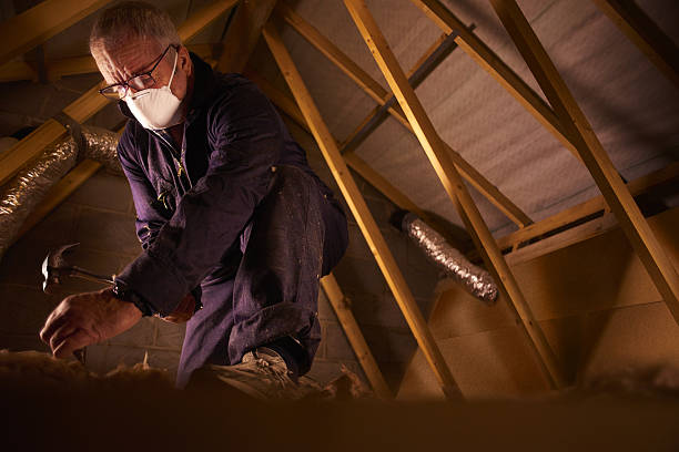 Best Insulation for Specific Applications in Bardmoor, FL